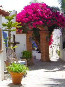 Las Gaviotas Rentals