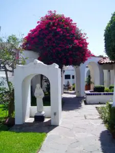 Las Gaviotas Rentals