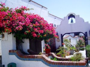 Las Gaviotas Rentals