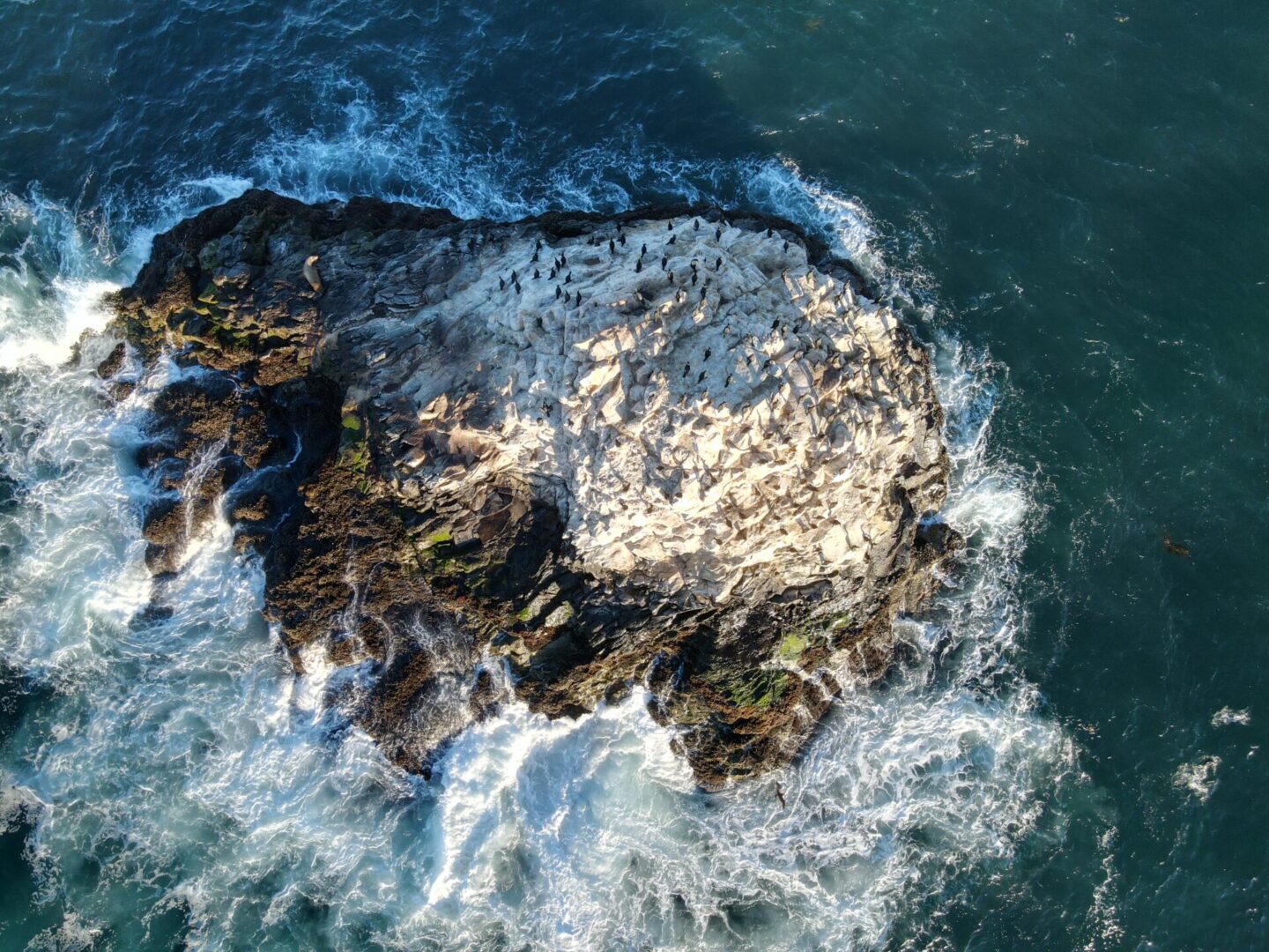 Las Gaviotas El Morro