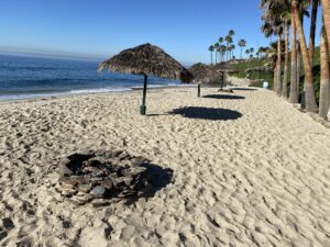 A beach with palm trees and umbrellas on the sand.
