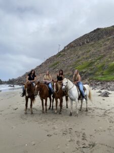 Las Gaviotas Horseback Riding