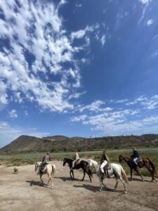 Las Gaviotas Horseback Riding
