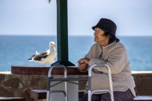 2026-05-01 Las Gaviotas Day of Rest